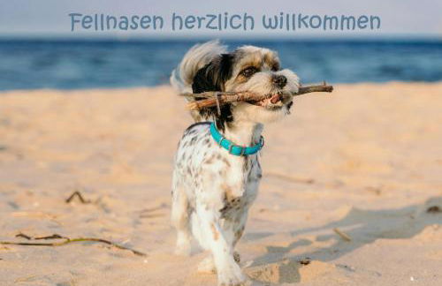 Hafensuite iPURA VIDA! - für Leben-Genießer - Foto 16