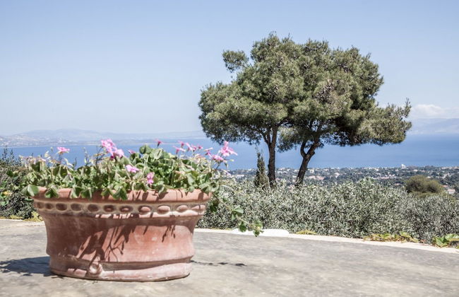 Beautiful mini eco farmhouse - Photo 48