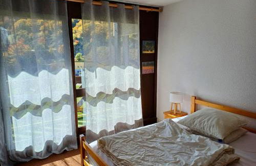 Col de Rousset - App. 2 P - Foto 18