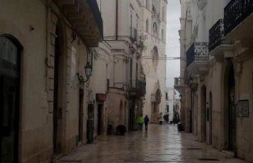 Le camelie - Foto 54