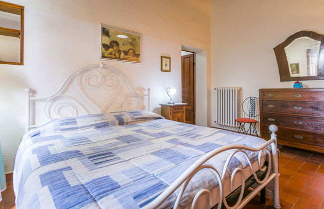 Giuggiolo 4 - Foto 19