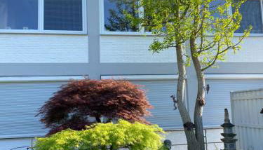 basement 77 - Foto 3