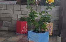 APARTMENT TSAIRA - Photo 49