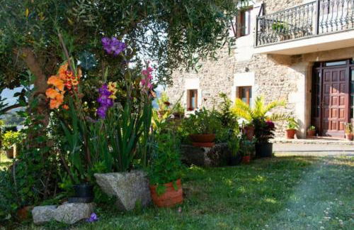 Vieiro Verde - Foto 19