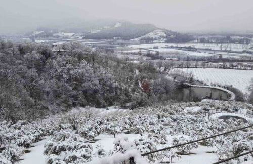 Peaceful Luxury Farmhouse - Stunning Alps Views - Foto 13