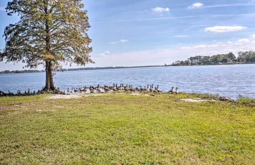 Riverfront New Bern House Gourmet Kitchen and View! - Foto 30