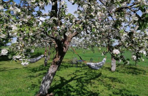 Pokoje. Apartament w Oklinach - Foto 31