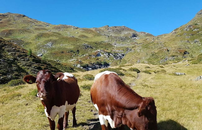 Chaletdorf Fanningberg - Foto 73