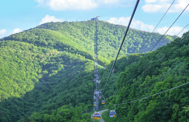 Mona Yongpyong Tower Condominium - Photo 65