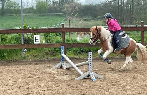 Hof Eichendiek Time Out Village - Foto 56