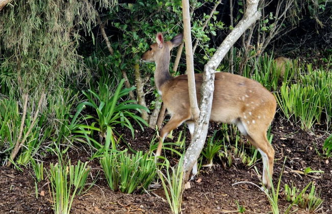 Oubaai Villa - Foto 79