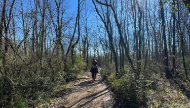 Relax, mare, natura e cavalli Giuliano di Roma - Foto 5