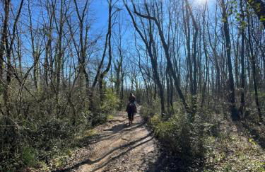 Relax, mare, natura e cavalli Giuliano di Roma - Foto 5