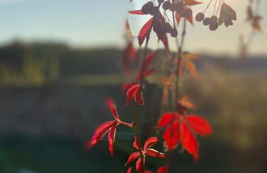Ferienhaus Lebuser Land für bis zu 4 Personen mit 1300 qm Garten und Privatsauna, grandiosen Blick über die Oder, sonntags late check out bis 18 Uhr inklusive - Photo 50