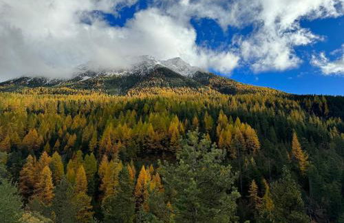 Appartement Les Chalmettes 4 Personnes au pied des Pistes Wifi - Balcon - Parking - Photo 65