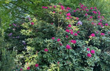 Ferienwohnung Idyll - Alleinlage - Foto 20