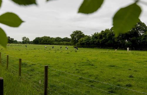 Superb space in the idyllic village of Loppington - Pass the keys - Foto 15