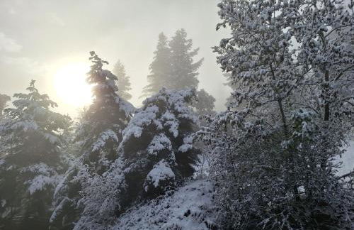 Duplex La Plagne - Montchavin, 4 Pièces, 3 chambres - Foto 14