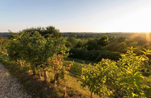 Otter Tranquil pod overlooking rolling Devon hills - Photo 15