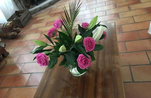 GRANDE MAISON FAMILIALE EN PIERRES SUD ARDÈCHE - Foto 14