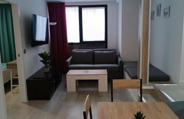 Apartamentos turisticos Ávila Puerta de San Isidro 1-4 - Foto 3