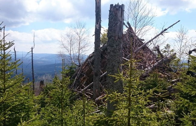 Nesterl Modern Retreat - Photo 18