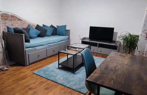 Gemütliche zwei-Zimmer-Wohnung am Regnitzufer - Photo 9