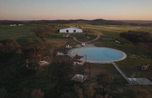 Alàpega, Live Slow - Photo 2