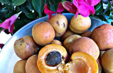 Domus de Goene - Foto 45