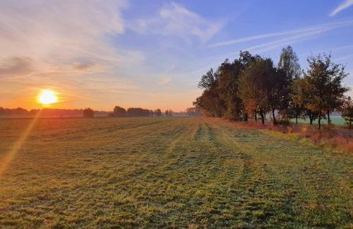 Modernes Ferienhaus nahe Spreewald-Idylle - Foto 32