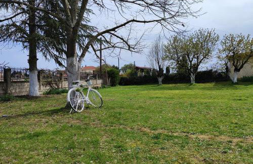 My Flowers - Foto 35