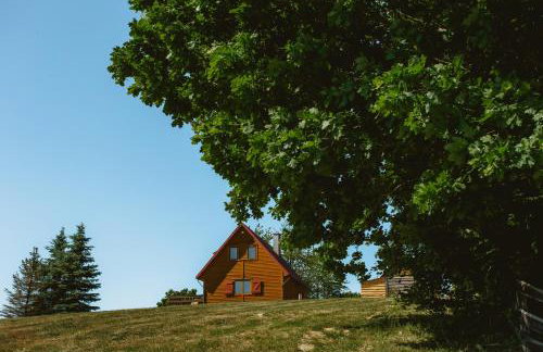 Widokówka Kaszuby - Foto 1