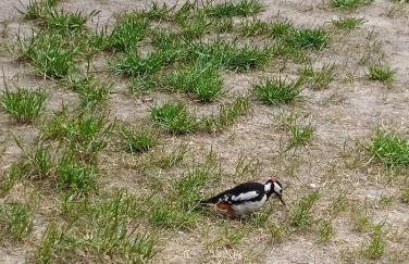 Świetna Chatka nad jeziorem - Foto 46