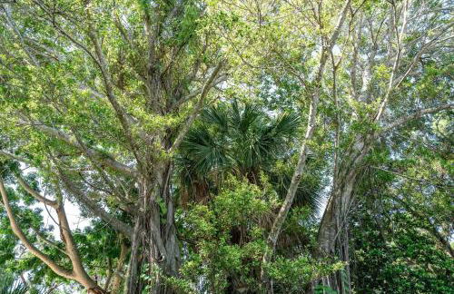 Siesta Key under The Banyan Tree 3 bed 3 bath - Foto 12