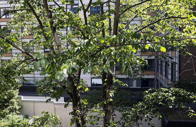 2ndhomes 2BR Center Apartment w Balcony - Foto 28