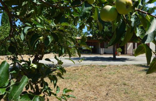 Casa vacanza Borgo Parrini - Foto 34