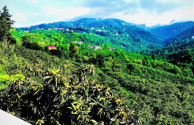 Five Stars Apart Bungalov - Foto 50