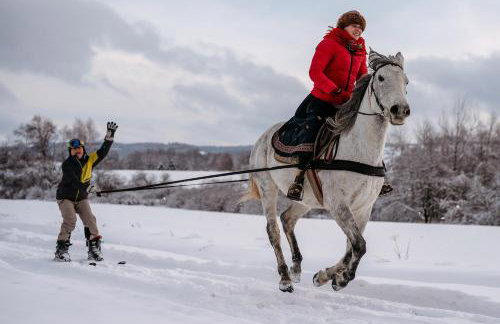 Przystanek Ropienka Leśniczówka - Foto 76
