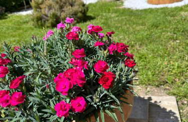 L'Atelier d'Olga - Homillesime - Foto 60