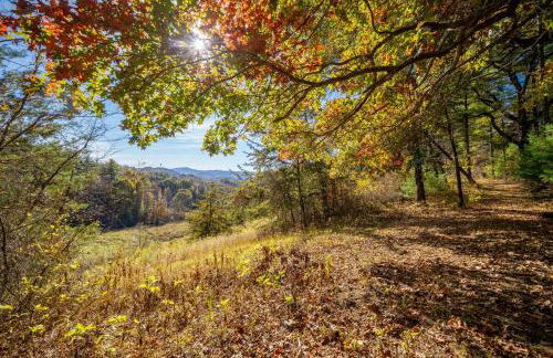 Modern Mountain Retreat~120ac~ Pond~Boat~Trails~FP - Foto 49