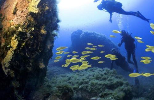 Vos vacances à Lama France Corse - Foto 35