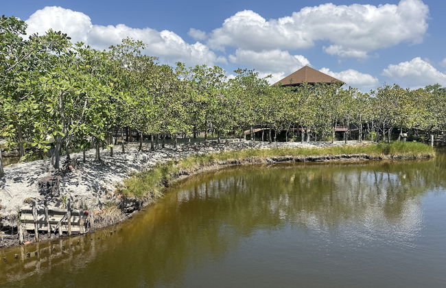 The Beatles Lagoon - Photo 76