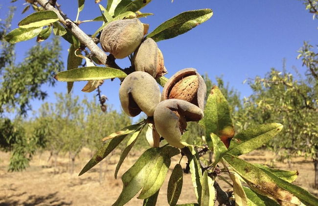 Tenuta Bartoli Maison de charme - Foto 26