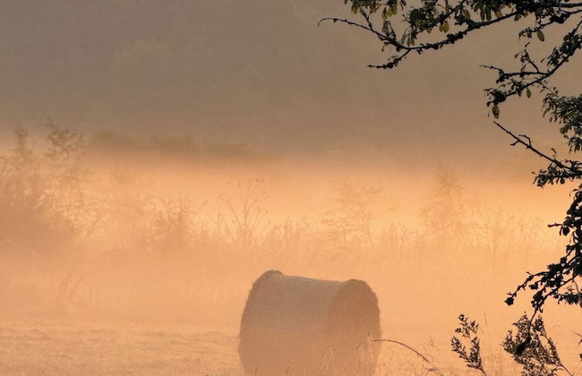 la maison dans les bois - Foto 12