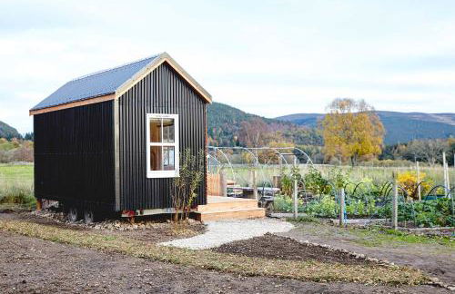 Aileen - Unique tiny house with wood fired roll top bath in heart of the Cairngorms - Foto 21