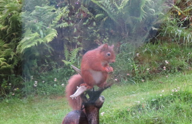 Crinan Canal Cottage No8, Kilmartin - Foto 15