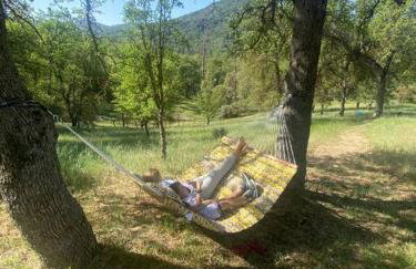 Modern House on 5 acr in Sequoia National Forest - Foto 28