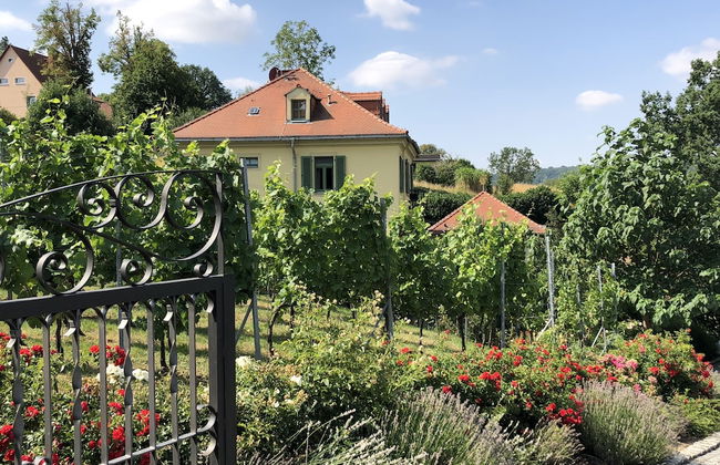 Rebenhaus Meißen - Foto 54