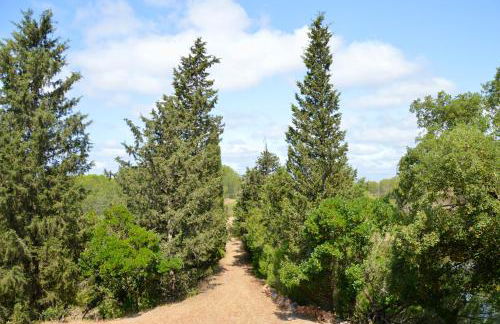 Quinta do Vale Lake Nest - Foto 18