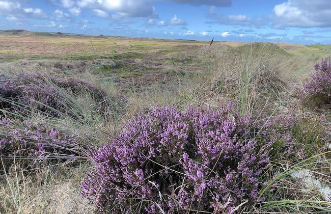 6 Person Holiday Home in Thyholm-by Traum - Photo 15